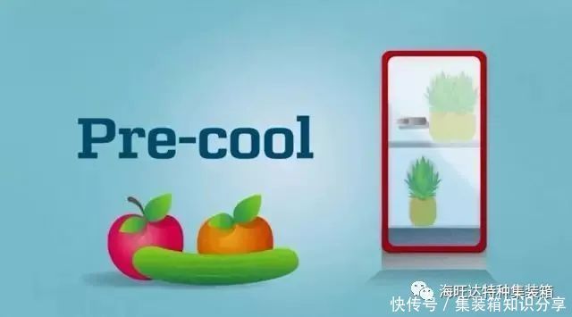 这份|这份冷藏箱装箱指南,90%的客户都在看!