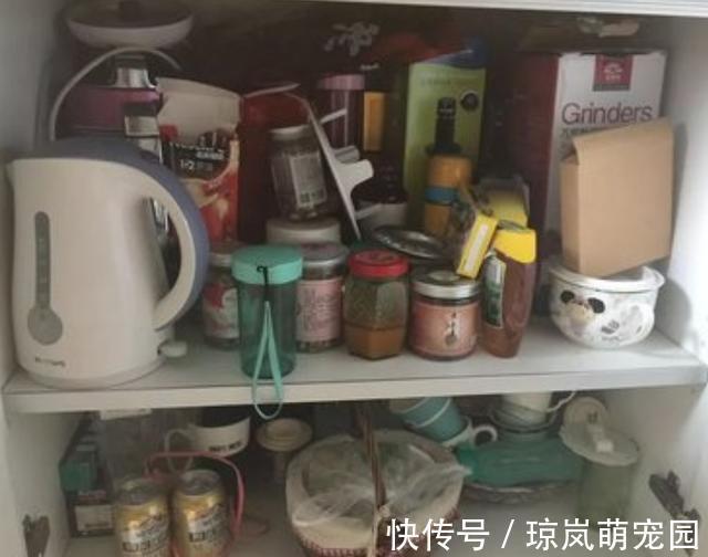 调味料|去闺蜜家发现,厨房没有一个塑料袋,做法真高级,拍给大家瞧瞧