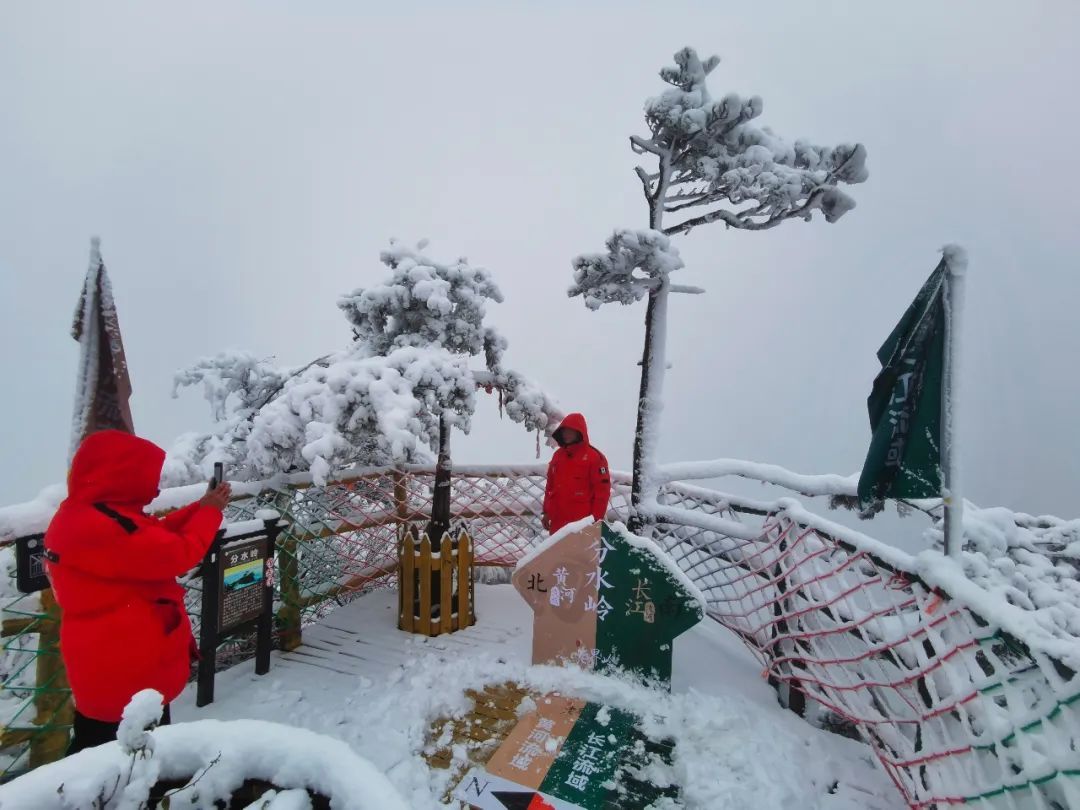 雪景|老界岭又下雪啦！这才是朋友圈最“冻人”的雪景！