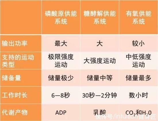 能量|了解有氧和无氧的区别以及关系，别再纠结于谁的减脂效果更好