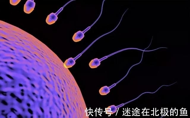 诞生#完美契合!世界上第一对男女如何诞生,为何生理、性格相互适应?