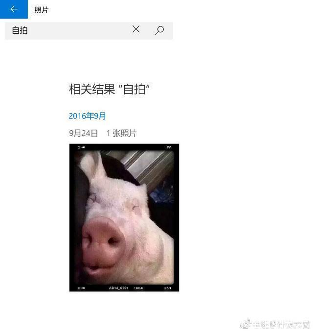 |男朋友:我太难了 冷段子1381 & 去年今日1071