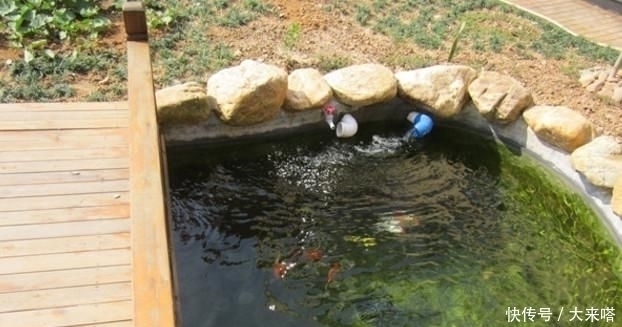 有庭院的人都开始造景观鱼池了美哭了,回家也要挖一个