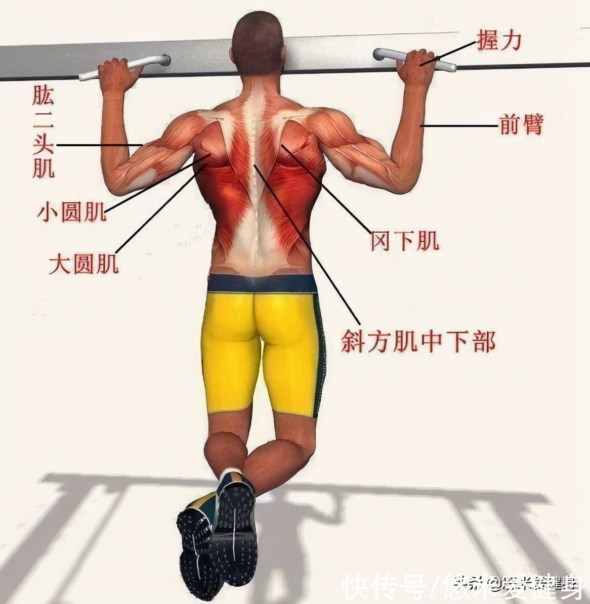 训练|引体向上做不好怎么办?通过3个阶段的训练,完成10个动作很轻松