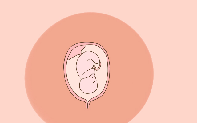 胎儿|胎儿最喜欢在这2个时间段休息,孕妈尽量别打扰,不然影响其发育