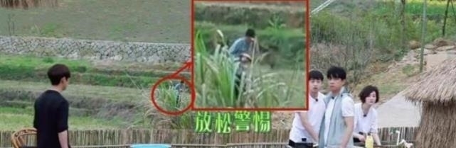 張藝興|搬樹苗也要找人幫黑衣大伯出現在李誕身后,網友真當觀眾們瞎