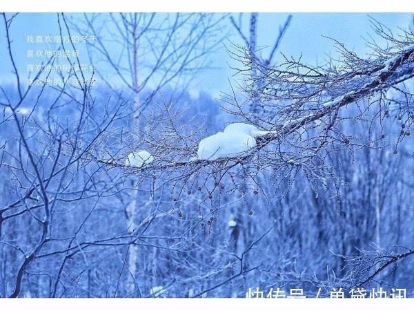 白狼峰|中国天然氧吧，春夏秋冬都不缺优美的风景，简直是度假胜地