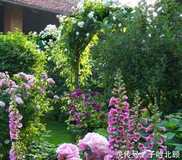 养花有3个“讲究”,执行到位,家里院子和露台“美如仙境”!