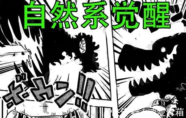 超人系|海贼王:第一个觉醒自然系果实登场,可赋予元素生命化,像动物系
