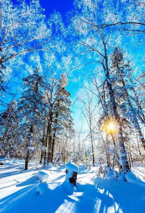 内蒙古隐藏的边境天路，赏世界级冰雪奇景，资深驴友才去过