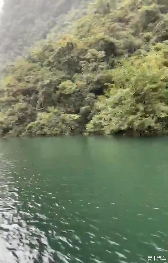 沃沃雨中伴我游（一）