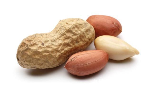 坚果|花生和瓜子同样是坚果,但一个能让你瘦,一个却让你胖,来了解下