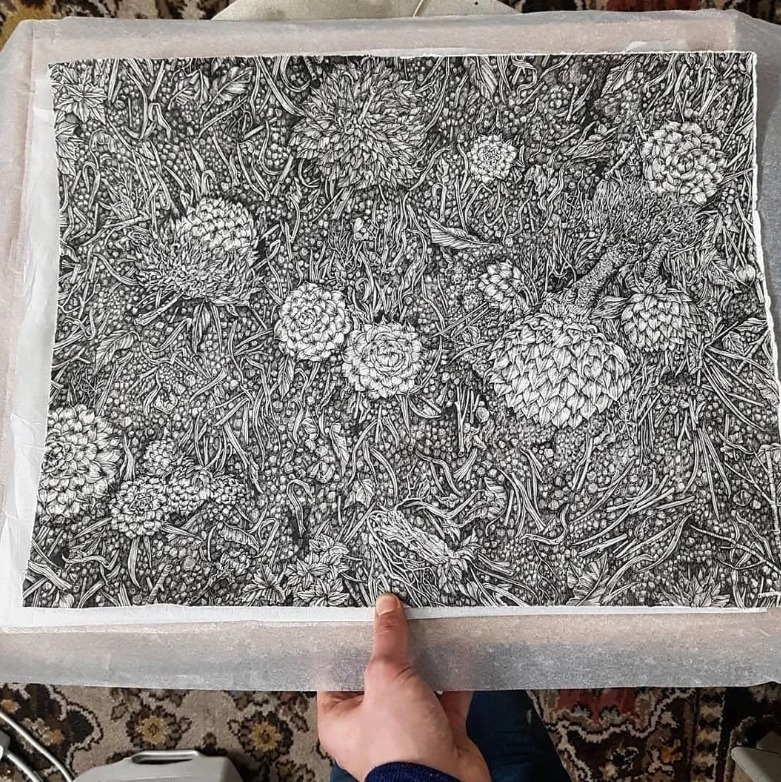 针管笔$全球最抠女画家,用针管笔惊艳世界,这细节和线条让人惊叹不已!