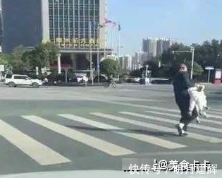 三胞胎|宝爸带着三胞胎宝宝过马路,嫌他们走得慢,于是一个熊抱直接抱走