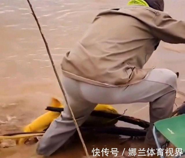 稀有!黄河巨型黄辣丁被人钓起,钓友:太大了,头回见!
