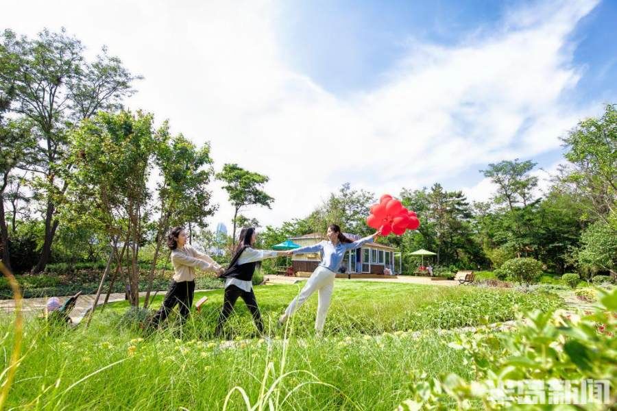 秋潮|游玩又多一去处！7月1日起，奥帆燕岛山公园正式开放