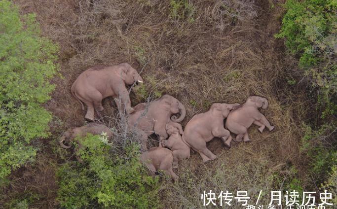 沙漠|从解救百万汉人到变成荒漠，中国七年水陆齐下，让青土湖涅槃重生