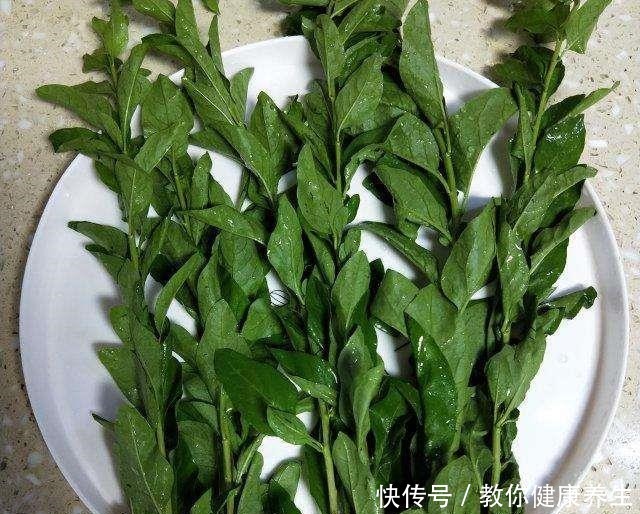  营养|它才是“护肝菜”，一周吃3次，营养极高，养肝护眼，肝脏变健康
