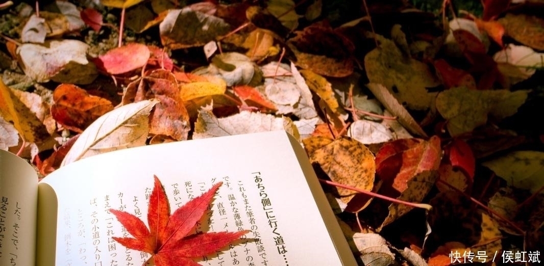 散文集!贾平凹:一个人越过越好,其实是懂得了两个字,受益无穷