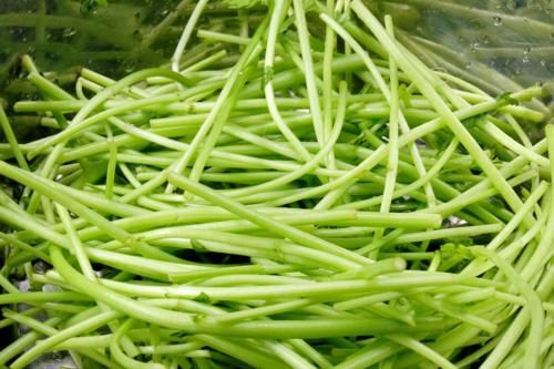 皇帝菜|这菜被誉为“皇帝菜”，炒一炒清香爽脆，三伏天遇到别手软