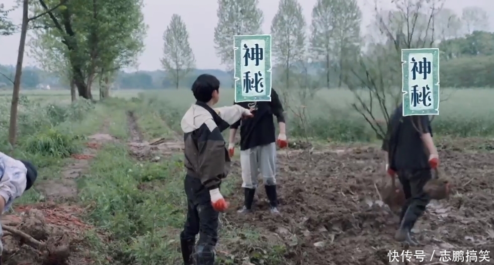 张艺兴 《向往5》惊现“奥特曼”,疑似陈赫李诞加盟,张艺兴与大妈抢购