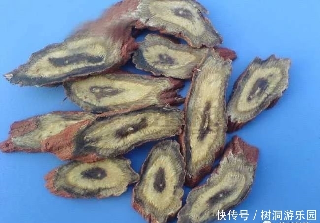 丹参一味,功同四物!到底是哪四物?