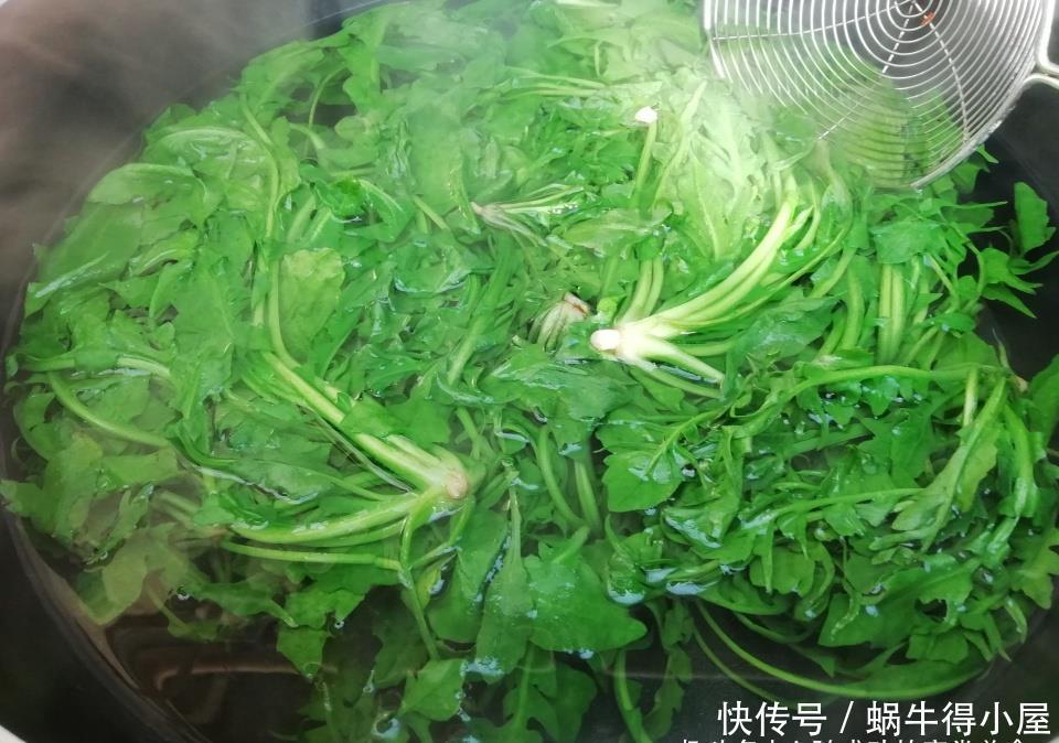 这菜不花一分钱，焯水储存一年都不坏，现在正当季，不懂可惜了