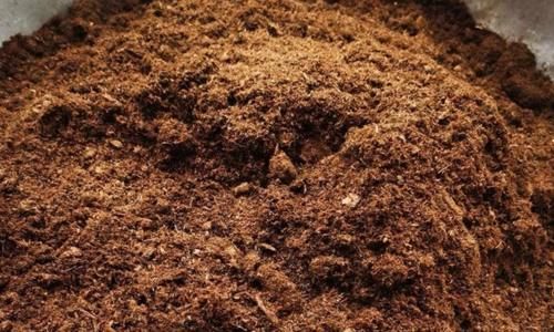 养花土用此2样，想效果好就得抓住这些“处理重点”