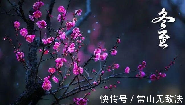 今日冬至，并不是所有人都吃饺子，有人喝交九鸡汤，有人不过节！