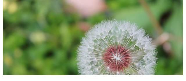 天蝎座|8月，运势上升，财运颇丰，事业百顺，梦想成真，过上更好的生活