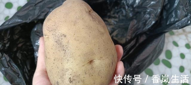 蒸土豆|土豆芽能吃吗小贴士教你如何防止他发芽，你可以放心地储存土豆
