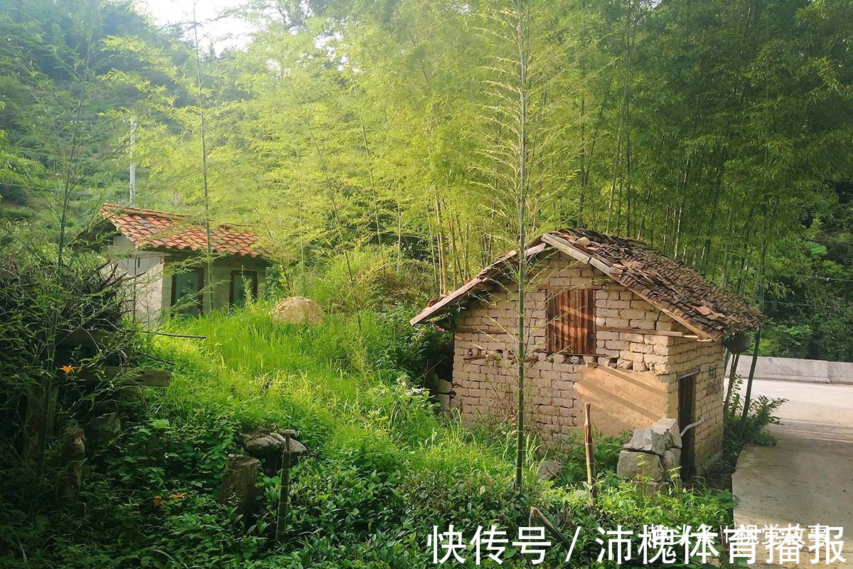 杂草|山村楼房装修豪华,门前堆满柴火,2个儿子3年没回家