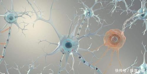 测试|老年痴呆测试一道题测出你患痴呆的概率,快来试试