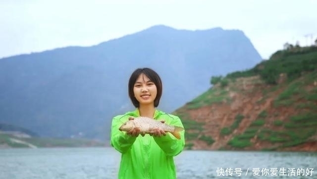 黑鱼泛滥成灾成群黑鱼聚集河湾产卵电鱼人不如我来来试试