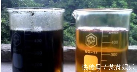 油烟机|“它”比淘米水、啤酒水强百倍，用一勺“它”，养啥能爆盆