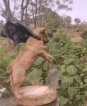 |搞笑GIF:我都不敢这么p,她却敢这么长!