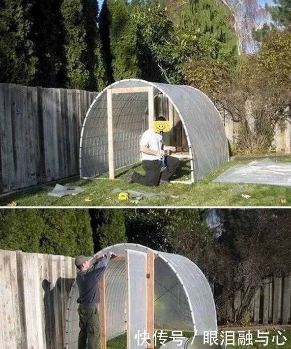 寒潮来了,害怕花受冻,赶紧这么做!寒潮来了,害怕花受冻,赶紧这么做!