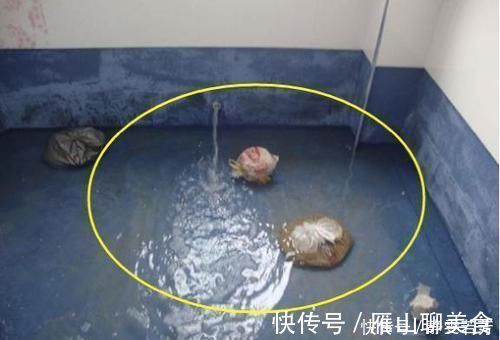 打理|厨房装修万万别踩这四个坑,我家装错才来告诉你,真想拆了重新装