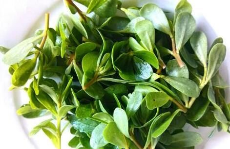 野菜|立秋后，不妨多食一野菜，清热解毒，杀菌消炎，降血压，了解下