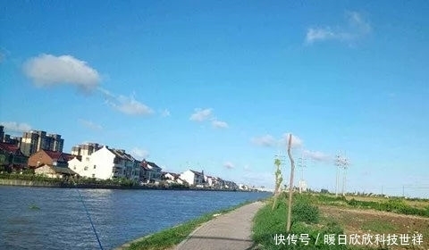 高手|高手用鸡饲料钓鱼,一下午钓20多条!