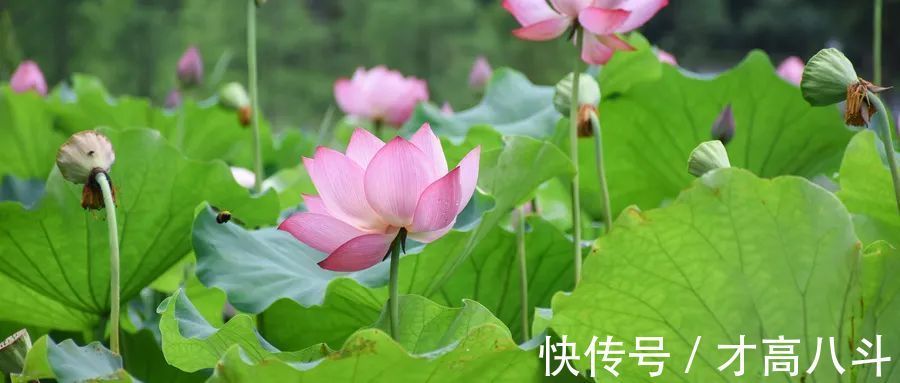 北宋$宋朝十大词人,一人一首传世宋词,让你提升一个境界