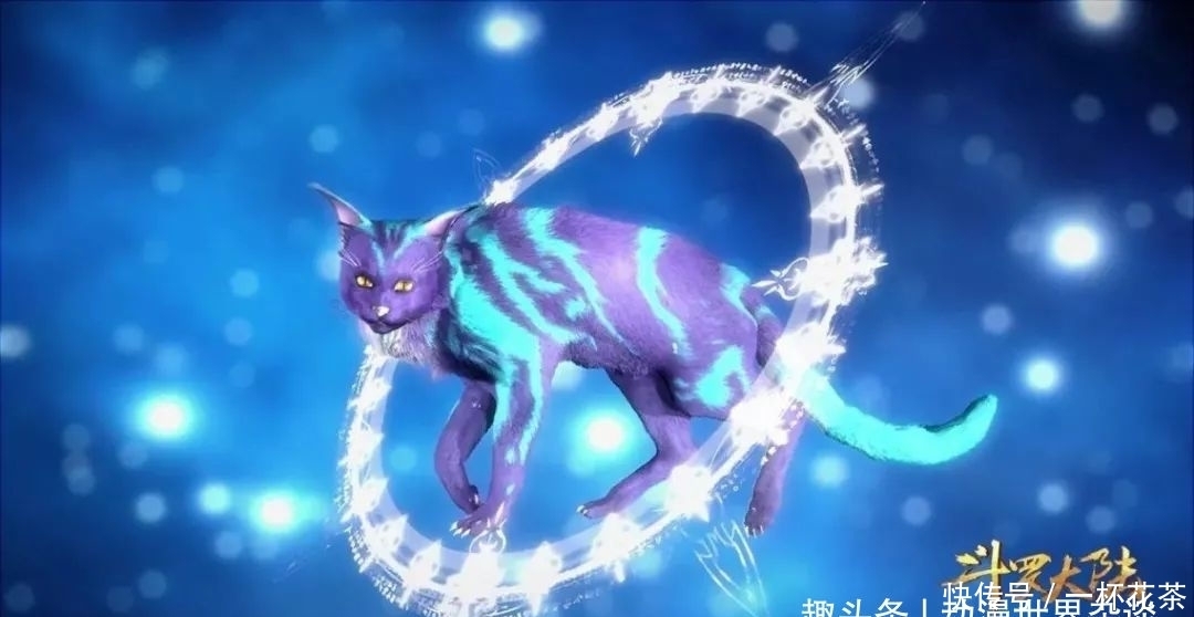 魂环|斗罗大陆:星斗大森林逃亡结束,多少人还记得曾经的猎魂森林?