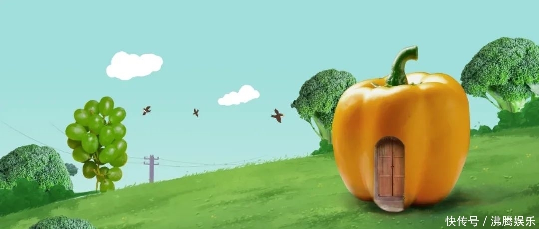 行走的大房子(记孙钰淇的作文)