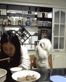 |搞笑GIF:这套动作真危险 到底是男的累还是女的累