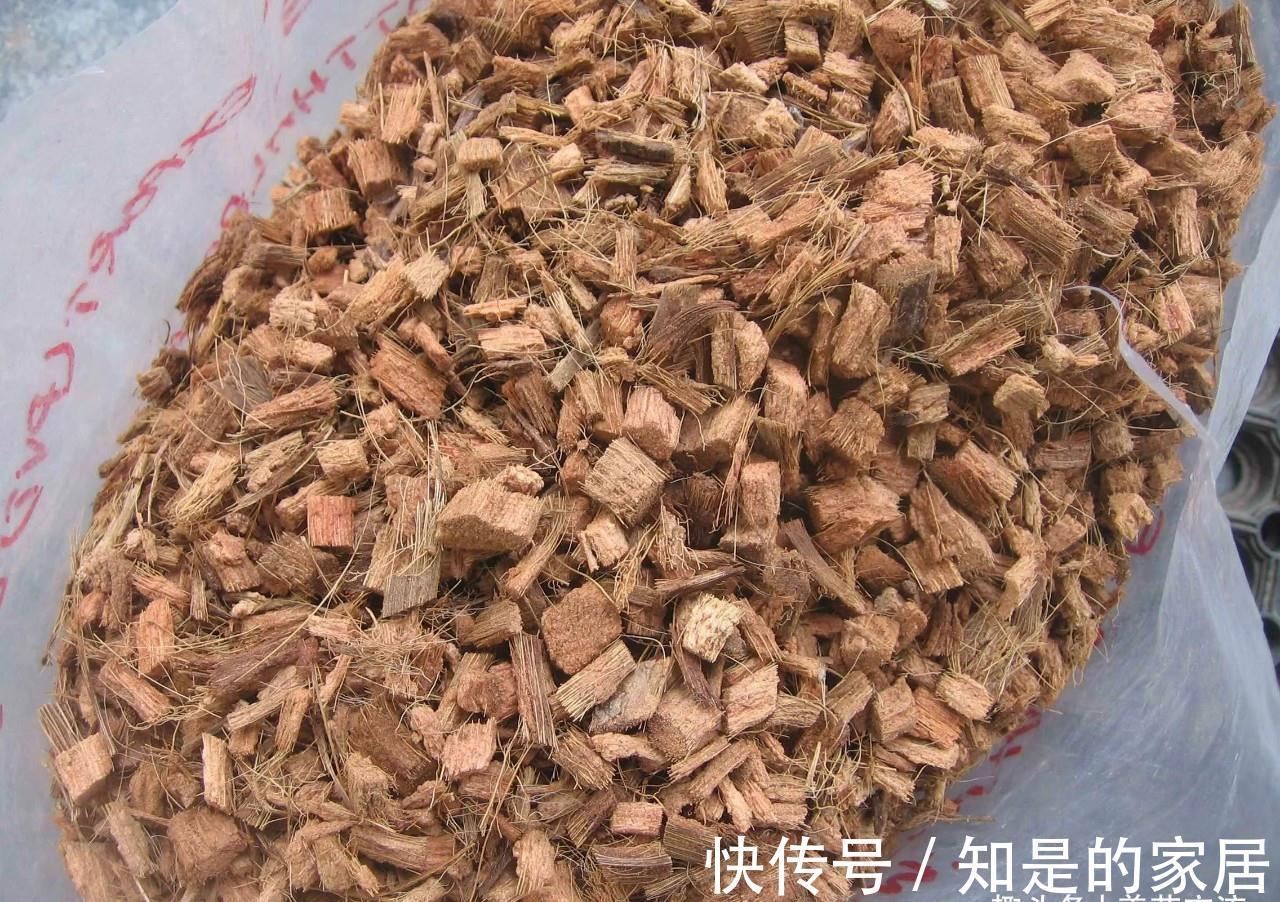 养花要用好土真能事半功倍,自己配的营养土,能让植物快速生长