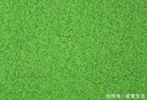 色盲测试如果找不出图中数字9,很遗憾的告诉你,将告别开飞机