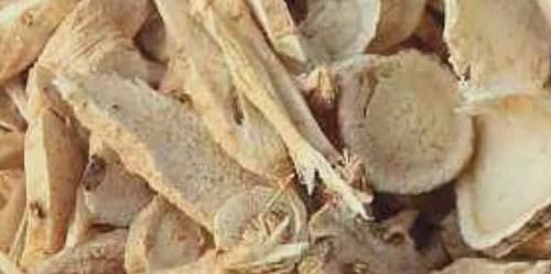 幽门螺杆菌难消除?常吃这几种食物,帮你抑菌消炎,胃慢慢变好