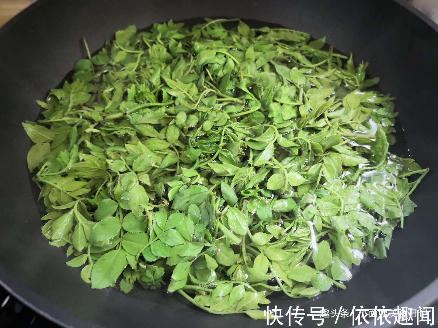 这树叶很多人都没吃过，比香椿芽还香，一烫一拌，是最好开胃菜！