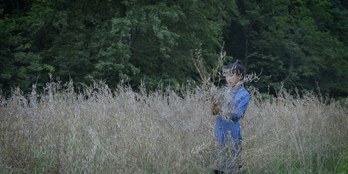 一物一生，吃完萝卜，一生系列就停在这里了吧