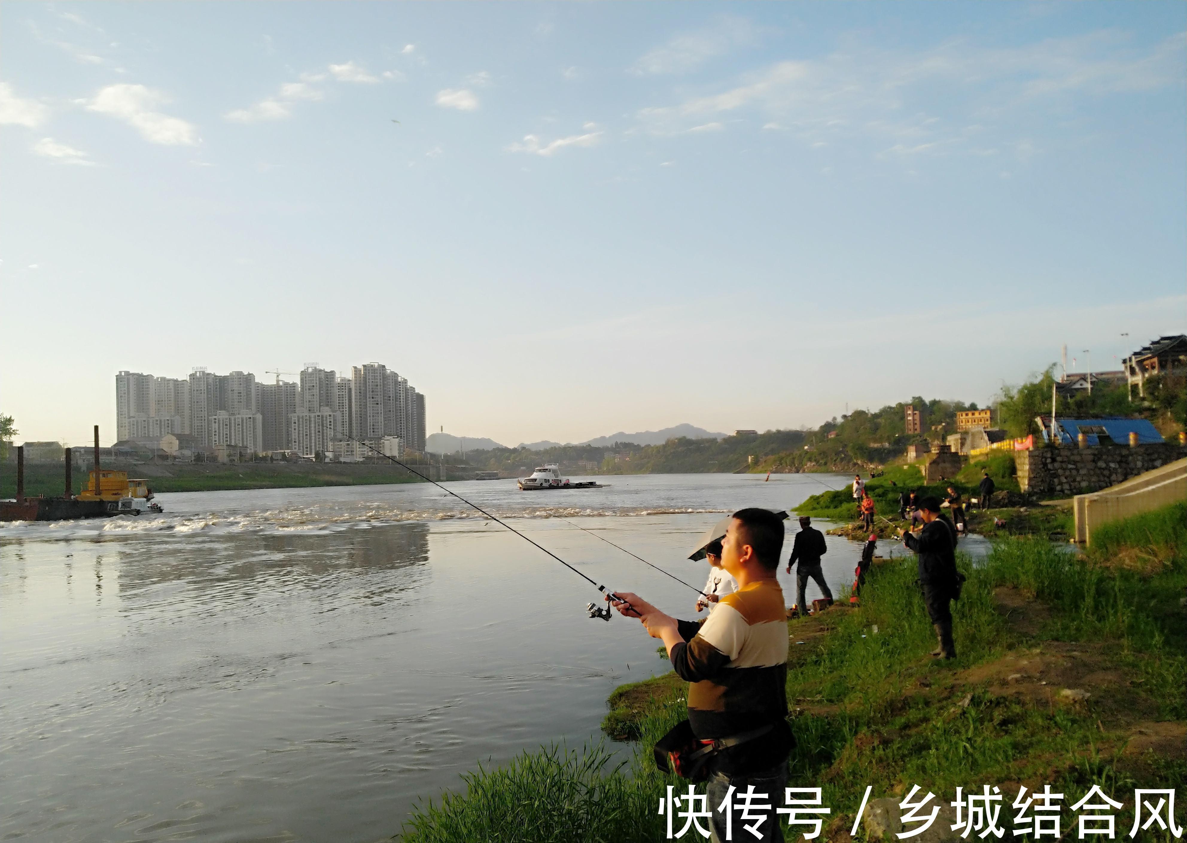 为什么总是钓不到鱼,因为你根本没弄明白钓鱼的三要素